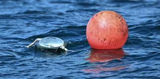 La carrera hacia los grandes tiburones blancos de Australia La carrera hacia los grandes tiburones blancos de Australia