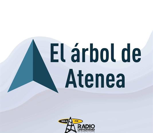 El &Aacute;rbol de Atenea - 08 de diciembre del 2025