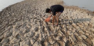 El Ni&ntilde;o y La Ni&ntilde;a alteran el equilibrio de los ecosistemas marinos y la pesca