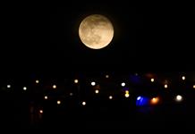 Cinco temas a seguir en 2026