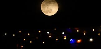 Cinco temas a seguir en 2026