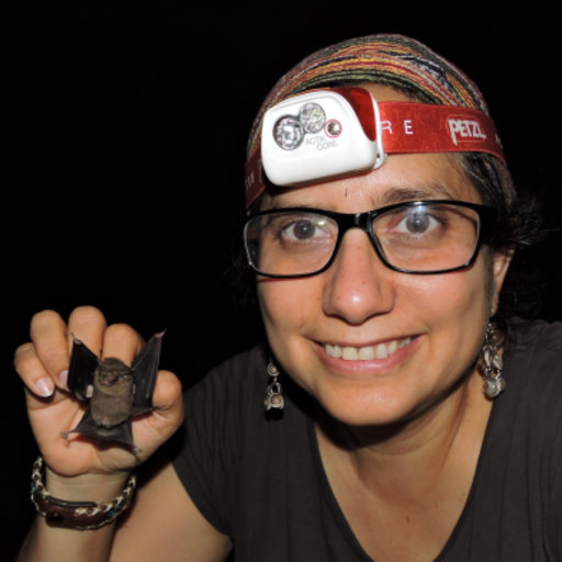 Ultra Violeta Radio - Vi. 19 Dic 2025 - Dra. Cristina Mac Swiney Glez. y Nancy Simmons