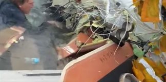 Marina mexicana confirma cinco muertos tras desplome de avi&oacute;n en Texas