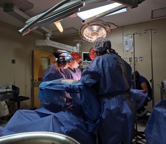 El Hospital Civil logra la octava donaci&oacute;n multiorg&aacute;nica del a&ntilde;o