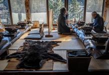 De predador a plato suculento: la crisis de los osos en Japón desata una fiebre culinaria