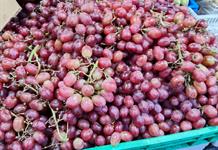 12 uvas y 12 deseos, una tradición que pierde fuerza por los precios altos 12 uvas y 12 deseos, una tradición que pierde fuerza por los precios altos