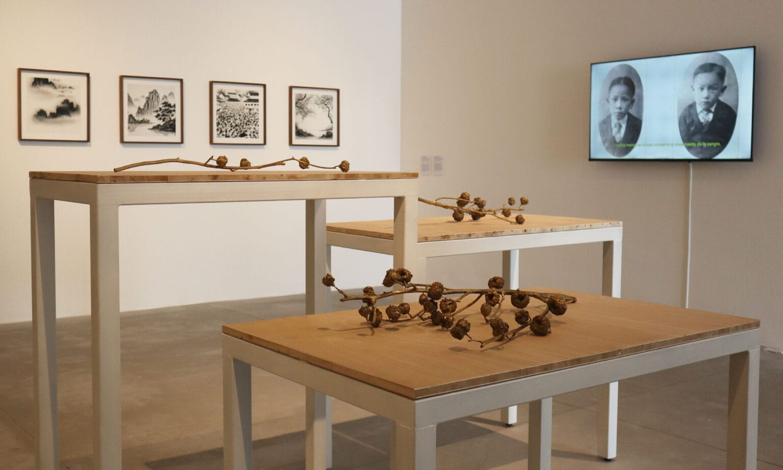 Ficción, migración y crítica en las exposiciones del Museo de Arte de Zapopan activas hasta 2026