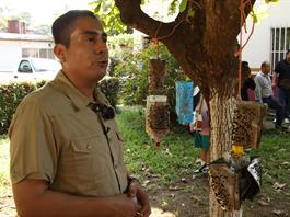 Comit&eacute; Bovino y Sader lanzan trampa artesanal contra gusano barrenador en Chiapas