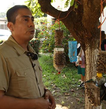Comit&eacute; Bovino y Sader lanzan trampa artesanal contra gusano barrenador en Chiapas