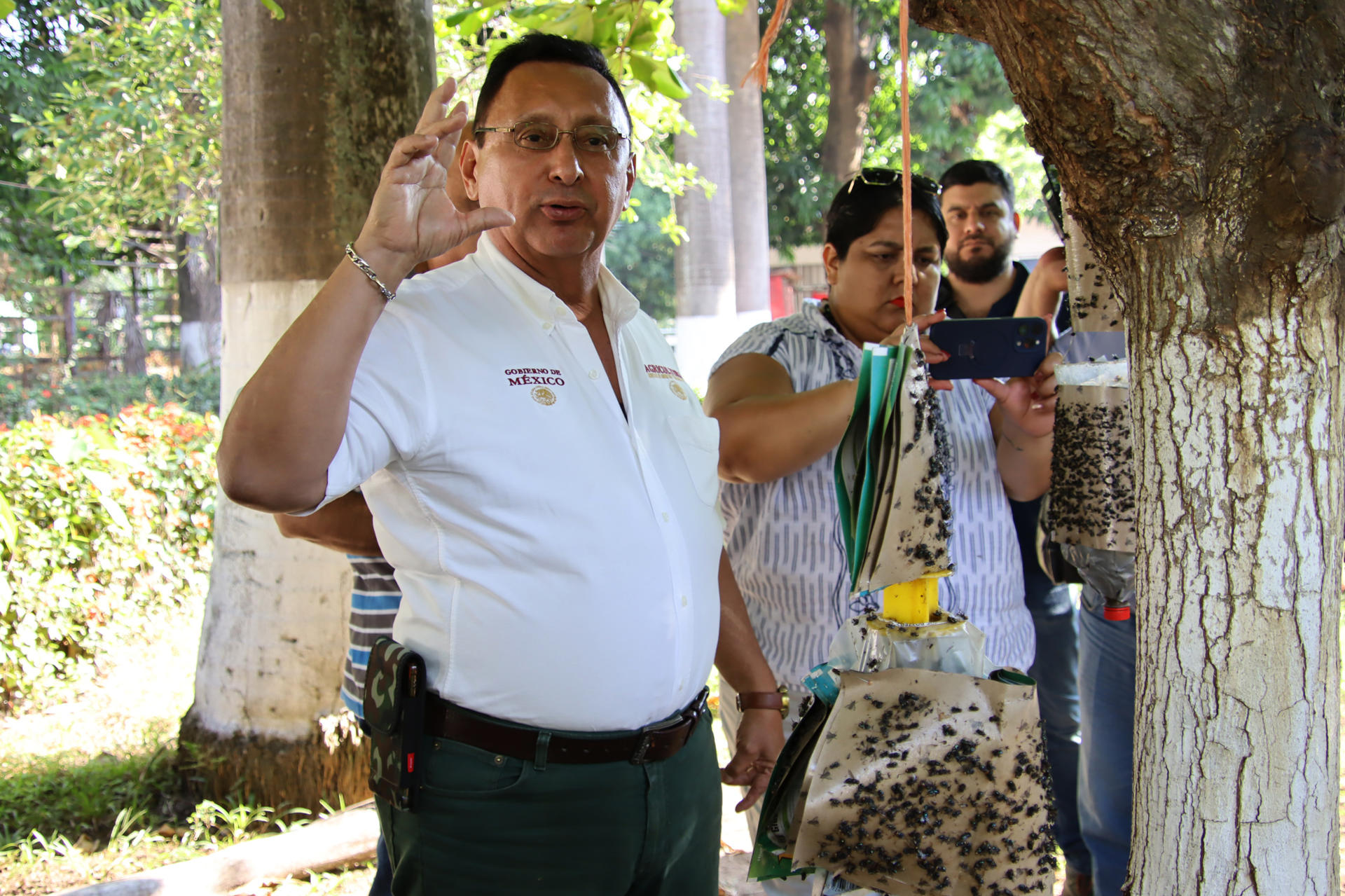 Comité Bovino y Sader lanzan trampa artesanal contra gusano barrenador en Chiapas