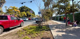 Comercio de Chapala arranca el a&ntilde;o con ventas flojas y menos visitantes