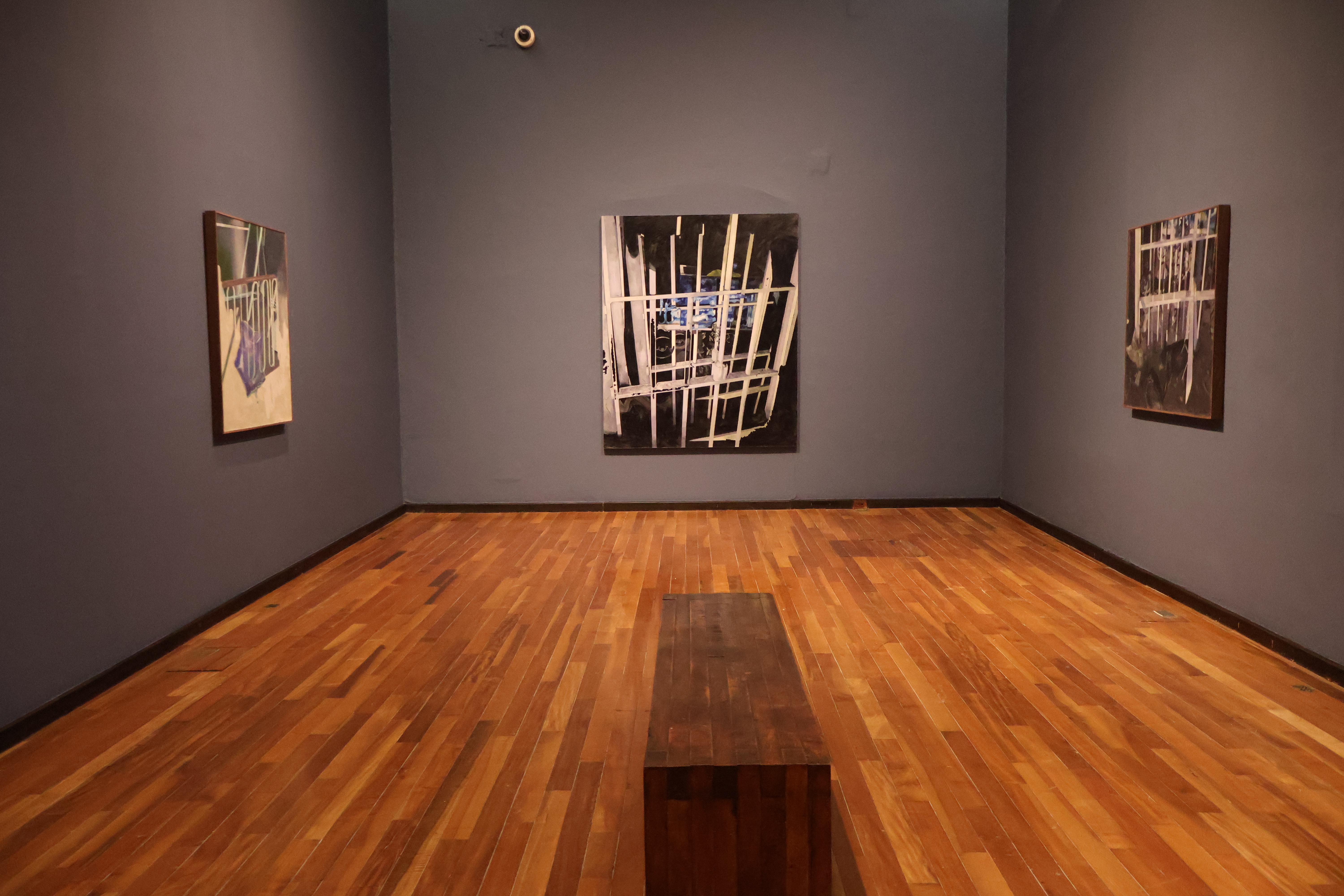 Pintura y percepción nocturna en la nueva exposición del Museo Cabañas