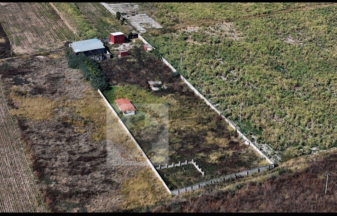 Colectivos de Jalisco piden intervención de Sheinbaum ante abandono del rancho Izaguirre