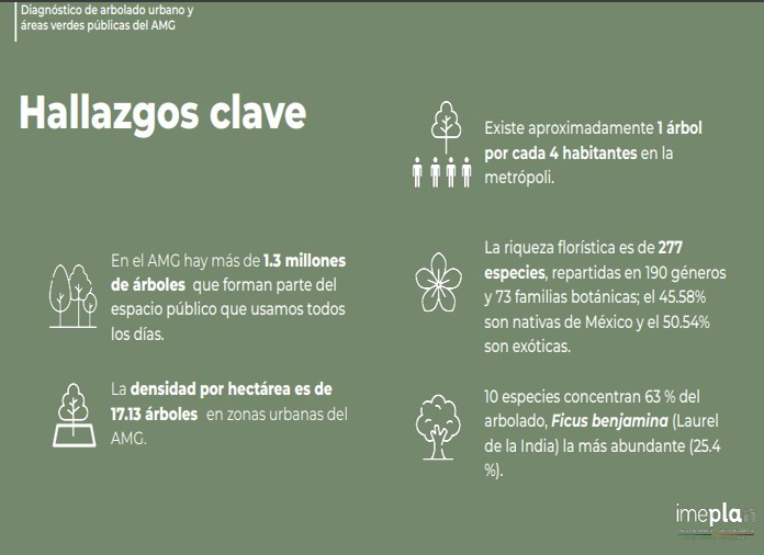 La mancha urbana crece, pero los árboles no: IMEPLAN traza las zonas verdes del AMG