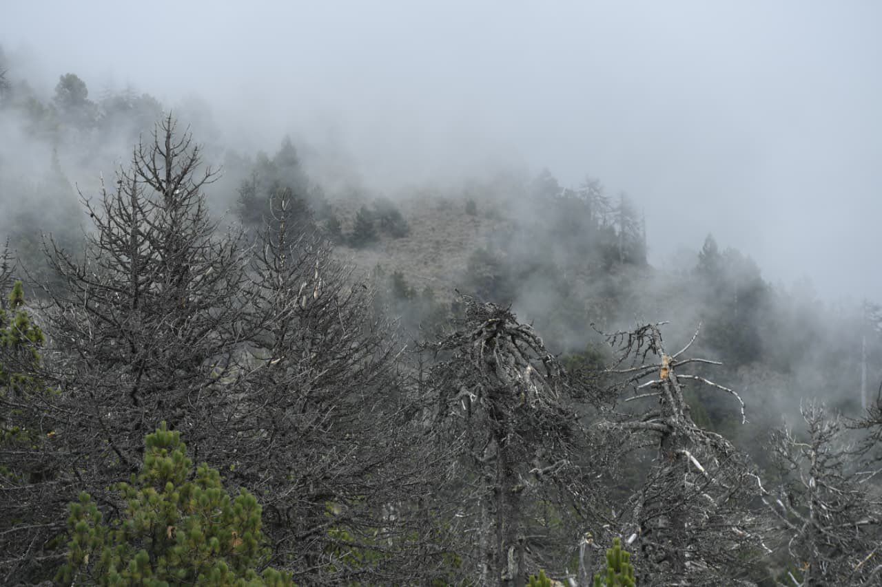 Reportan primera caída de nieve en el Nevado de Colima