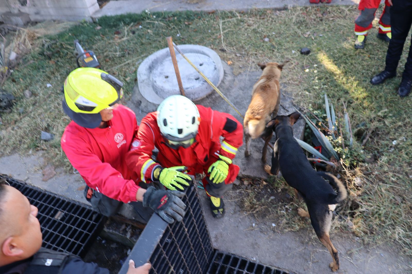 Un perro pidió ayuda y salvó a su mejor amigo en Zapopan