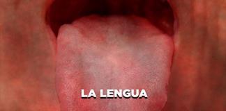 La Lengua - El Expresso de las 10 - Ma. 20 Enero 2026