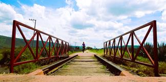 Analizan extender v&iacute;as verdes desde Atotonilco el Alto hasta Ocotl&aacute;n