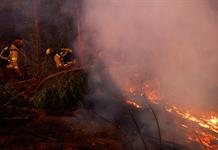 Damnificados por incendios en Chile piden ayuda y el gobierno apunta a origen intencional Damnificados por incendios en Chile piden ayuda y el gobierno apunta a origen intencional