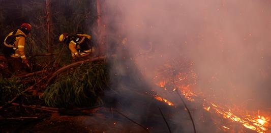 Damnificados por incendios en Chile piden ayuda y el gobierno apunta a origen intencional
