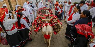Celebran la tradición de los Tololos y Coloradas en San Sebastián del Sur Celebran la tradición de los Tololos y Coloradas en San Sebastián del Sur