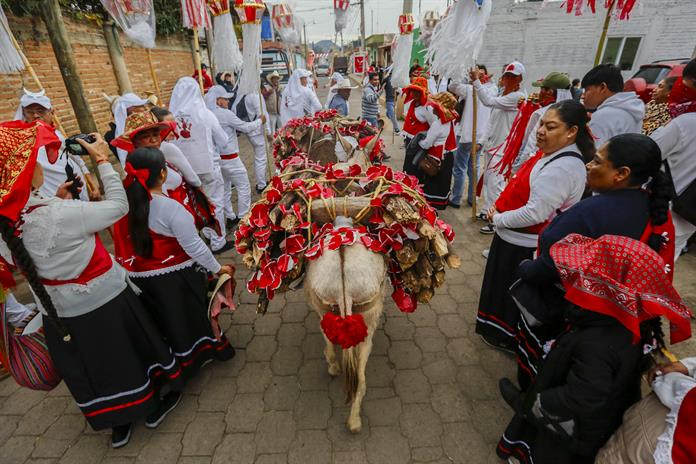 Celebran la tradición de los Tololos y Coloradas en San Sebastián del Sur Celebran la tradición de los Tololos y Coloradas en San Sebastián del Sur