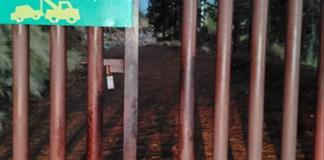 Investigan vandalismo en área protegida del Nevado de Colima Investigan vandalismo en área protegida del Nevado de Colima