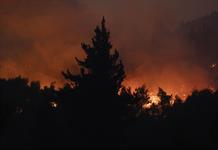 Boric decreta 2 días de duelo por los 21 muertos en incendios en zona centro-sur de Chile Boric decreta 2 días de duelo por los 21 muertos en incendios en zona centro-sur de Chile