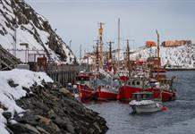 Comercio y alianza militar: la presencia de Rusia y China en el &Aacute;rtico