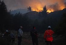 Gobierno de Chile detiene a 14 personas por megaincendios en zona centro-sur