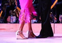 La Muestra Nacional de Danzón celebrará su edición XVI con música en vivo, bailes y talleres La Muestra Nacional de Danzón celebrará su edición XVI con música en vivo, bailes y talleres