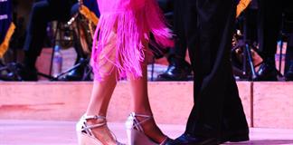 La Muestra Nacional de Danz&oacute;n celebrar&aacute; su edici&oacute;n XVI con m&uacute;sica en vivo, bailes y talleres