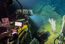 Sabemos muy poco: un sumergible revela detalles del fondo marino Sabemos muy poco: un sumergible revela detalles del fondo marino