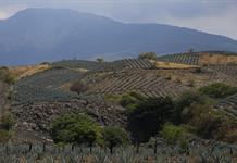 Jalisco se presenta ante el Reino Unido como Jalisco se presenta ante el Reino Unido como