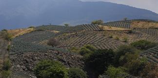 Jalisco se presenta ante el Reino Unido como la esencia y la identidad de M&eacute;xico