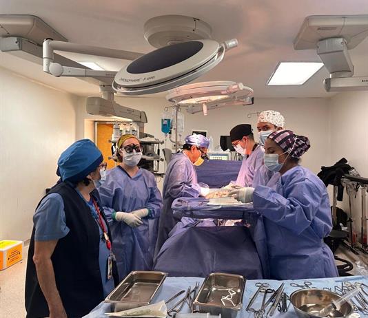 Hong Kong logra el primer trasplante hep&aacute;tico de donante vivo con microcirug&iacute;a rob&oacute;tica
