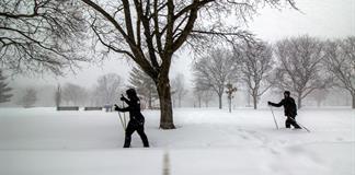 Toronto, la mayor ciudad canadiense, paralizada por la caída de 60 centímetros de nieve Toronto, la mayor ciudad canadiense, paralizada por la caída de 60 centímetros de nieve