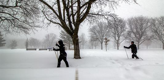 Toronto, la mayor ciudad canadiense, paralizada por la caída de 60 centímetros de nieve