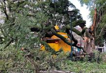 La tormenta Kristin deja al menos cuatro muertos y numerosos daños en Portugal