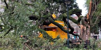 La tormenta Kristin deja al menos cuatro muertos y numerosos da&ntilde;os en Portugal