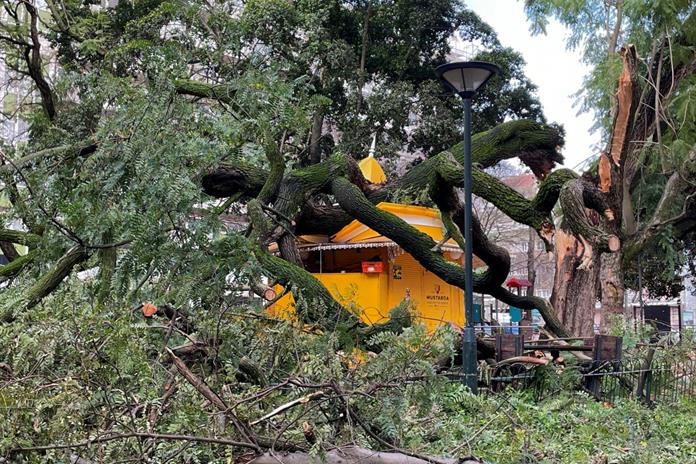 La tormenta Kristin deja al menos cuatro muertos y numerosos daños en Portugal La tormenta Kristin deja al menos cuatro muertos y numerosos daños en Portugal