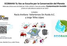 Ecobahía - 28 de Enero del 2026