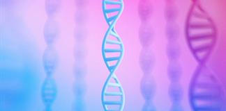 Google presenta AlphaGenome, un nuevo paso en la comprensión del genoma humano Google presenta AlphaGenome, un nuevo paso en la comprensión del genoma humano