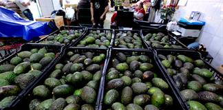 Econom&iacute;a de M&eacute;xico crece 0,7% en 2025, su peor desempe&ntilde;o desde la pandemia en 2020