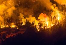 Gobierno argentino decreta emergencia &iacute;gnea en cuatro provincias de Patagonia