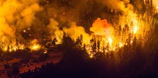 Gobierno argentino decreta emergencia &iacute;gnea en cuatro provincias de Patagonia