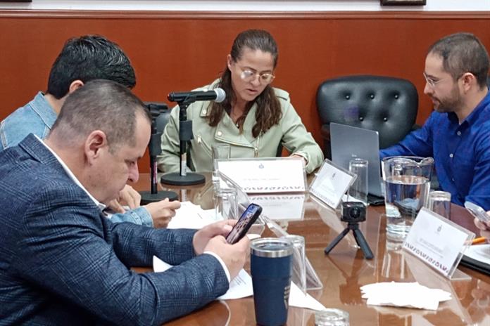 Pasó el primer filtro en el Congreso la creación de la “unión civil por tiempo determinado” Pasó el primer filtro en el Congreso la creación de la “unión civil por tiempo determinado”