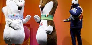 El armiño, mascota olímpica y animal en peligro en los Alpes italianos El armiño, mascota olímpica y animal en peligro en los Alpes italianos