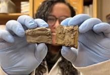 Algunas zonas tropicales podrían tener un calentamiento mayor debido al cambio climático Algunas zonas tropicales podrían tener un calentamiento mayor debido al cambio climático