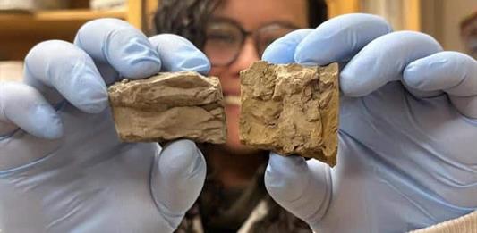 Algunas zonas tropicales podrían tener un calentamiento mayor debido al cambio climático